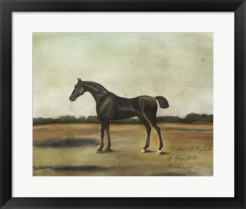 Framed &quot;&quot;Trentham,&quot;&quot; A Bay Colt Print