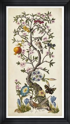 Framed Chinoiserie Natura I Print
