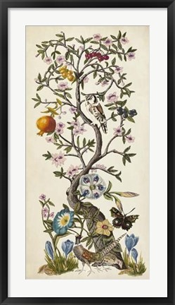 Framed Chinoiserie Natura I Print