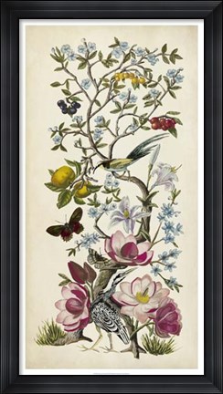 Framed Chinoiserie Natura II Print