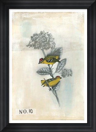 Framed After Flight II Print