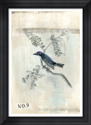 Framed After Flight IV Print