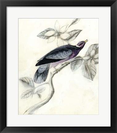 Framed Rustic Aviary I Print