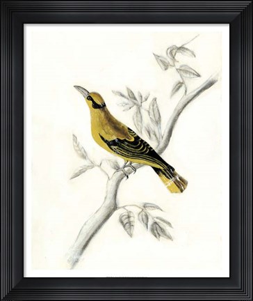 Framed Rustic Aviary II Print