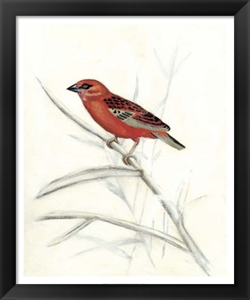 Framed Rustic Aviary IV Print