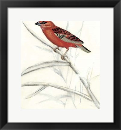 Framed Rustic Aviary IV Print