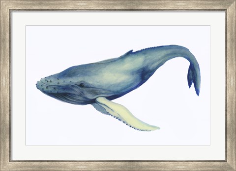 Framed Whale&#39;s Song I Print