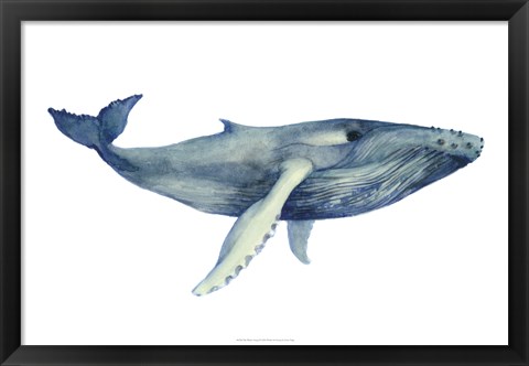 Framed Whale&#39;s Song II Print