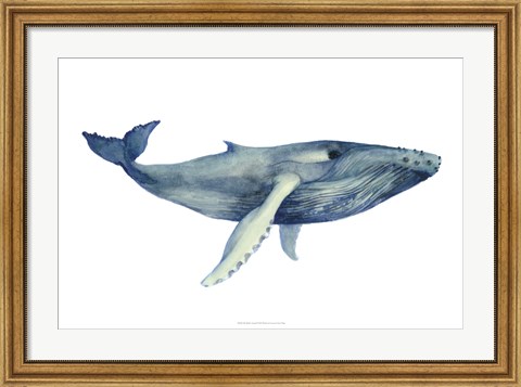 Framed Whale&#39;s Song II Print