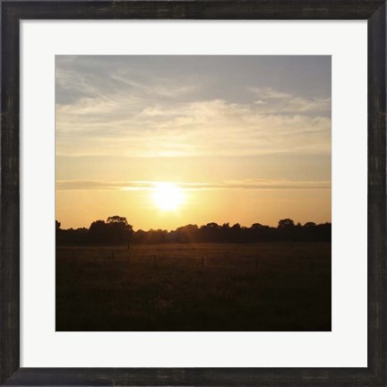 Framed Sunset Field I Print