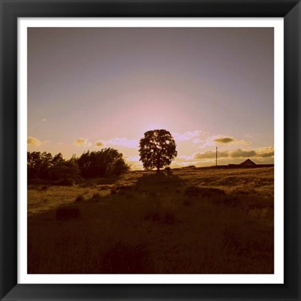 Framed Sunset Field II Print