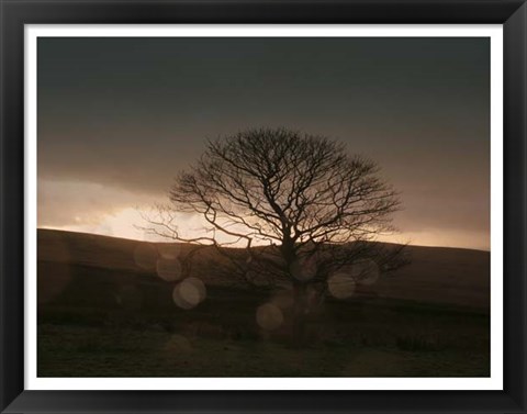 Framed Stormy Sunset II Print