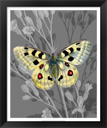 Framed On Display II Print