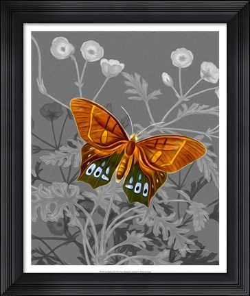 Framed On Display III Print