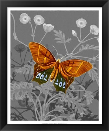 Framed On Display III Print