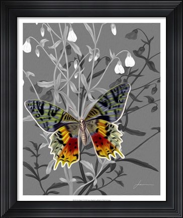 Framed On Display IV Print