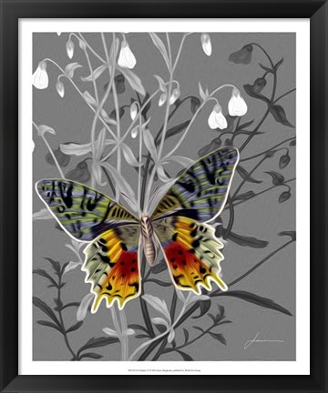 Framed On Display IV Print