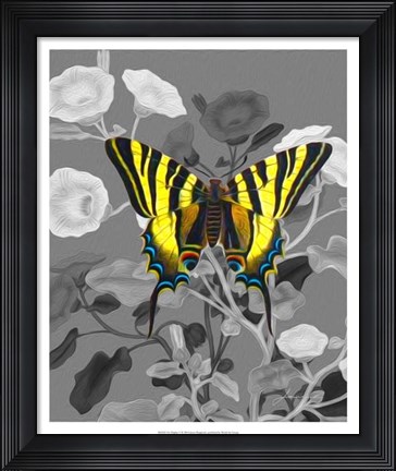 Framed On Display V Print