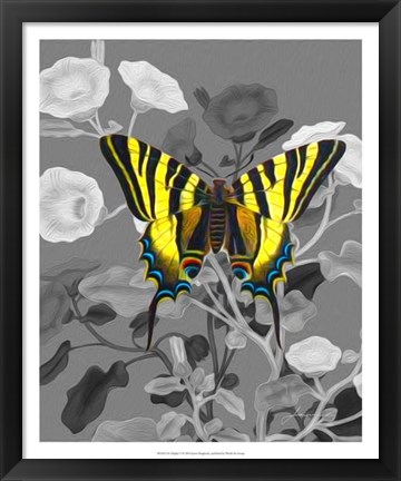 Framed On Display V Print