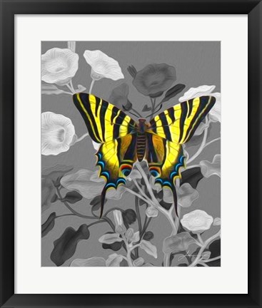 Framed On Display V Print