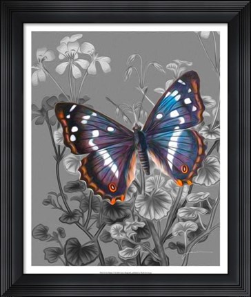 Framed On Display VI Print