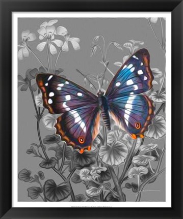 Framed On Display VI Print
