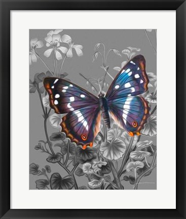 Framed On Display VI Print