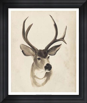 Framed Watercolor Animal Study II Print