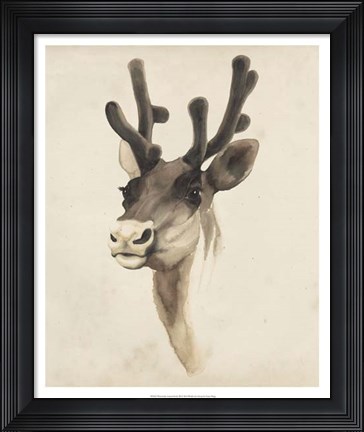 Framed Watercolor Animal Study III Print