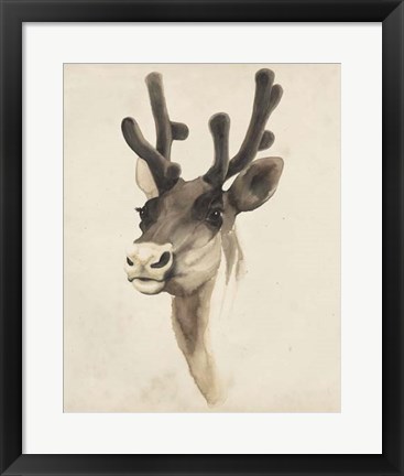 Framed Watercolor Animal Study III Print