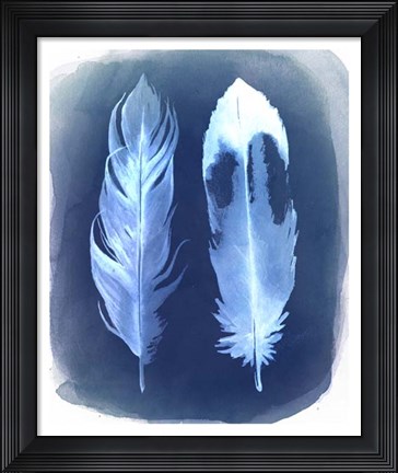 Framed Feather Negatives II Print