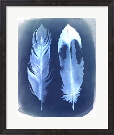 Framed Feather Negatives II Print