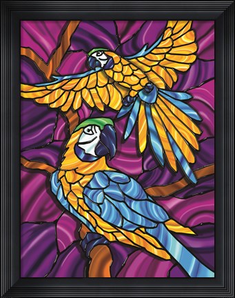 Framed Parrot A Print