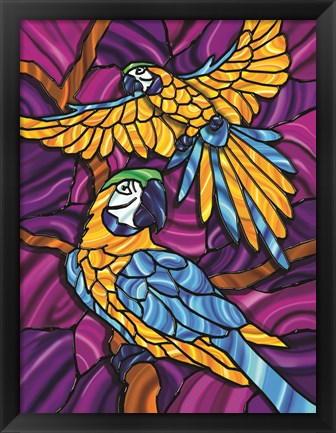 Framed Parrot A Print