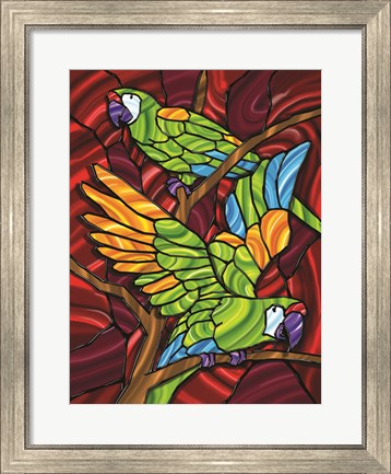 Framed Parrot D Print