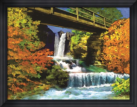 Framed Waterfall C Print
