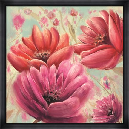 Framed Pink Poppy Bloom Print