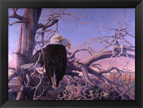 Framed Bald Eagles Print