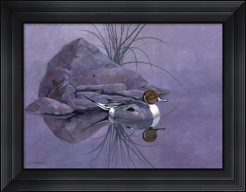 Framed Pintail Reeds Print