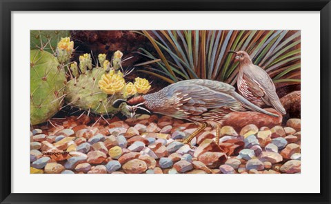 Framed Quail Pair Print