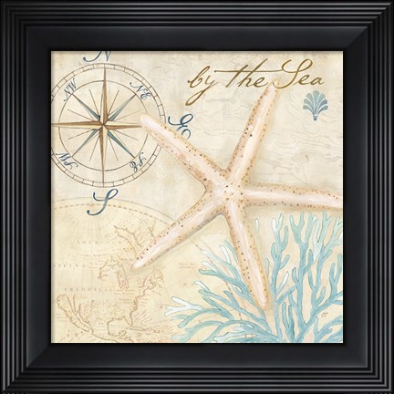 Framed Nautical Shells I Print