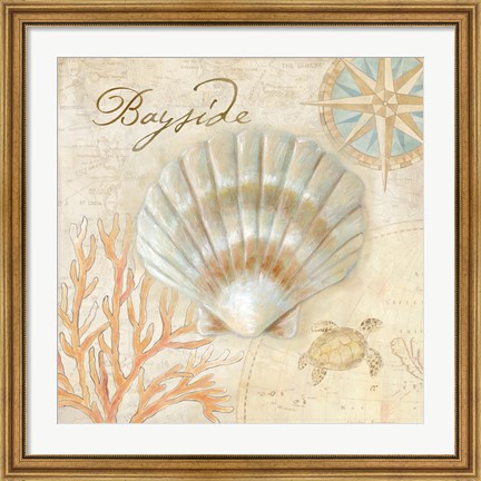 Framed Nautical Shells II Print