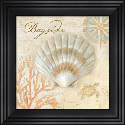 Framed Nautical Shells II Print
