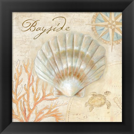 Framed Nautical Shells II Print