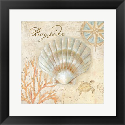 Framed Nautical Shells II Print