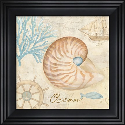 Framed Nautical Shells III Print