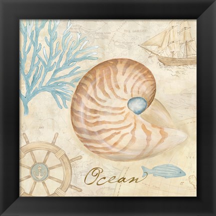 Framed Nautical Shells III Print