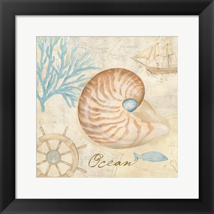 Framed Nautical Shells III Print