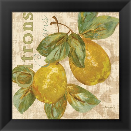 Framed Rustic Fruit III Print