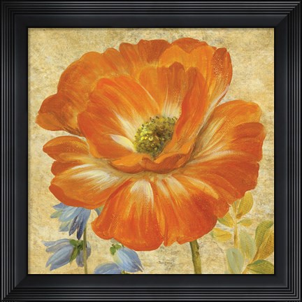 Framed Primavera II Print